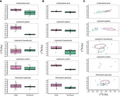 Levels of autotrophy and heterotrophy in mesophotic corals near the end photic zone